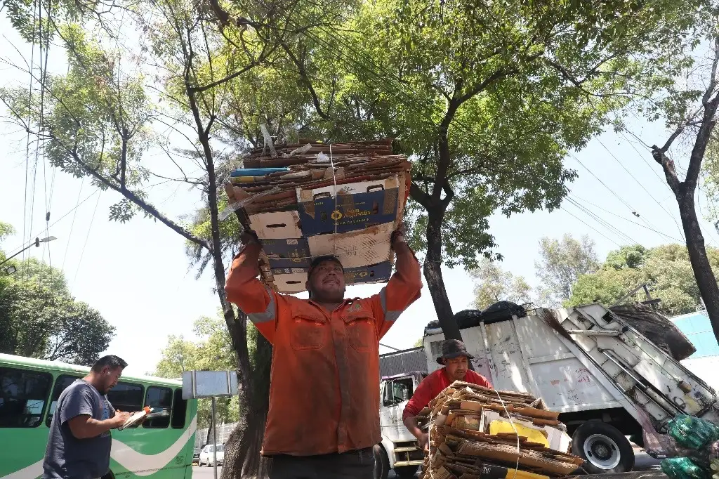 Comienza plan piloto de los denominados “nidos verdes” para depositar basura