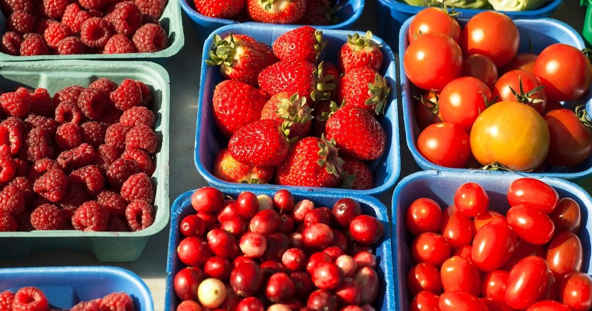 EU llena su despensa desde México, con 21% de sus importaciones agro