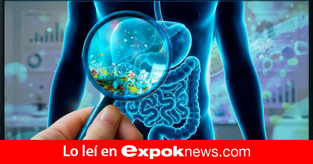 No solo en el agua: detectan microplásticos en la bilis y advierten daño celular