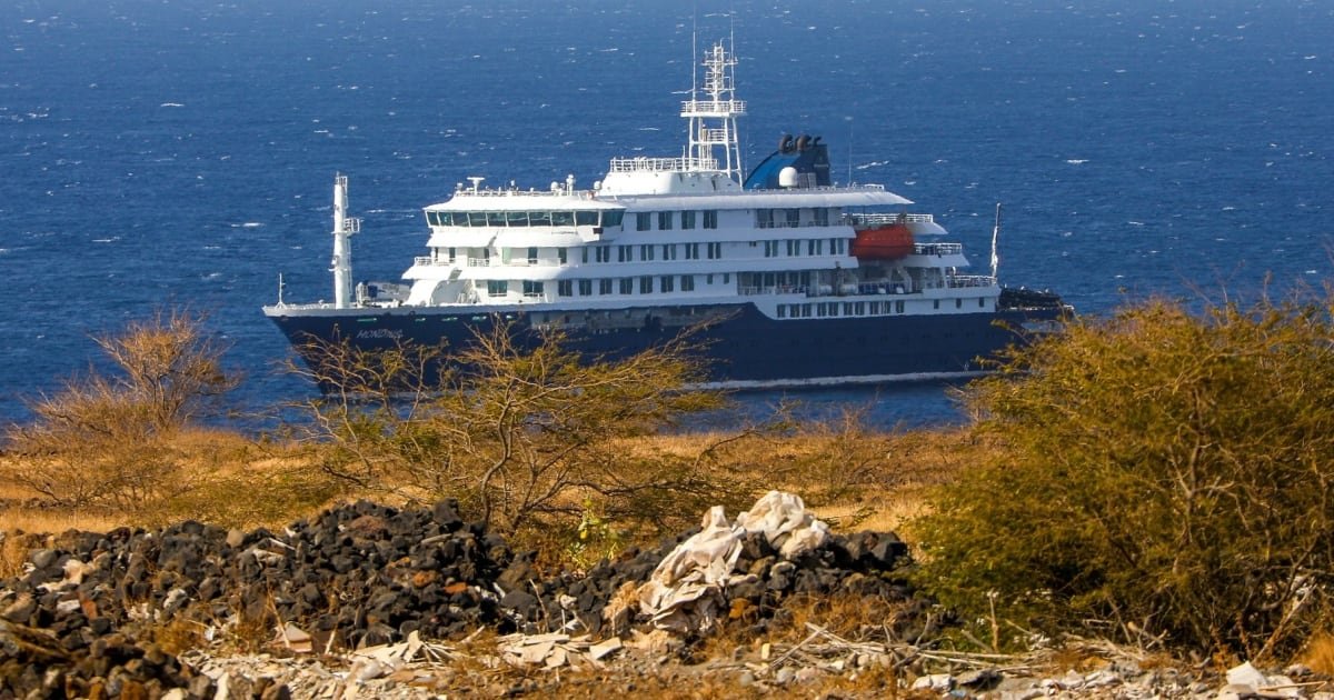 Brote de hantavirus en crucero en el Atlántico: ¿Qué sabemos de los pacientes?