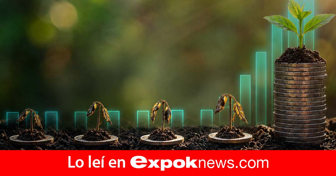 Apenas 1 de 5 empresas puede medir ROI de ESG