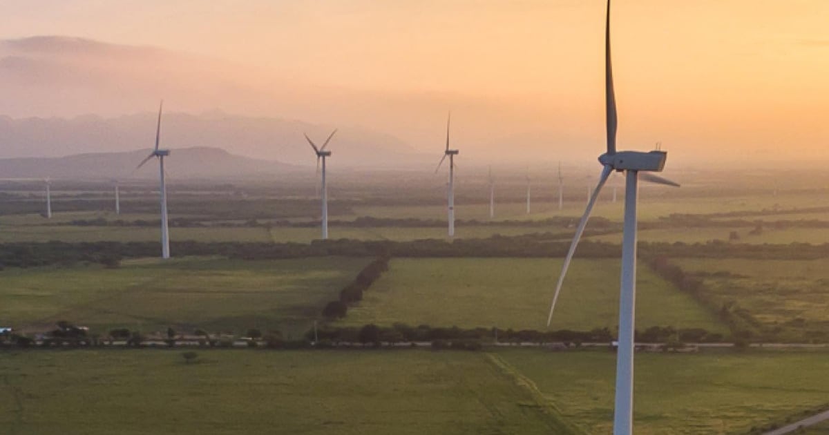 Grupo México ‘hace su agosto’ con el cobre: Ganancias se disparan 90.9% en el segundo trimestre de 2026