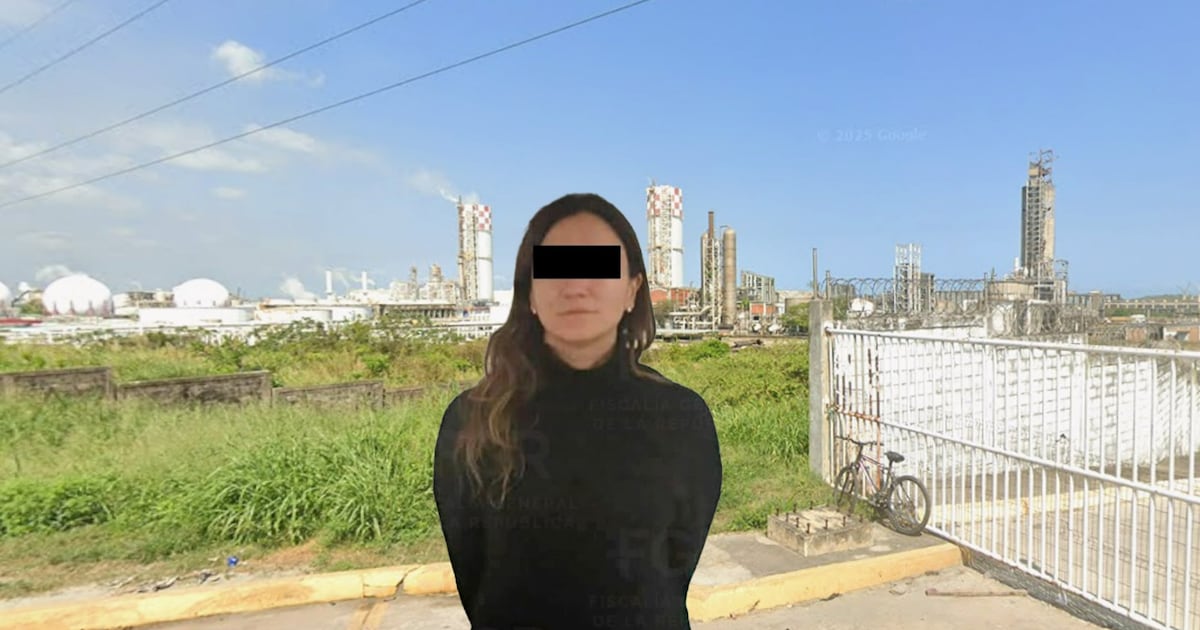 ¿Qué es el Caso Agronitrogenados y qué hizo Gilda ‘N’, hermana de Emilio Lozoya, exdirector de Pemex?