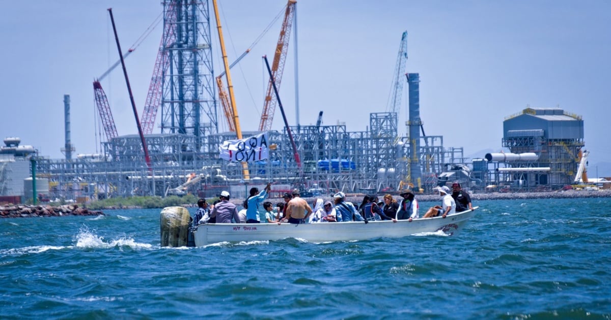 Greenpeace México exige frenar megaplanta de amoniaco en Sinaloa; alerta por daños al ambiente