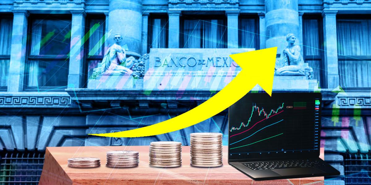 ¿Cómo elegir entre Cetes, Bonos y Udibonos? Guía 2026 para invertir tu dinero seguro