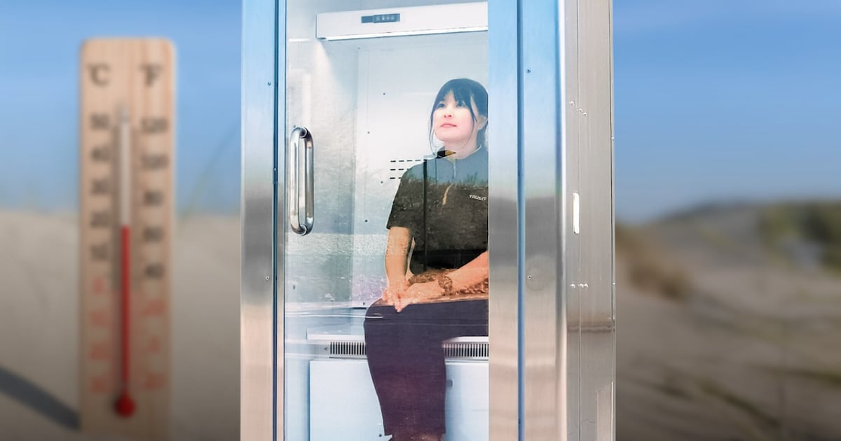 Las olas de calor te harán los mandados: Así es el refrigerador para personas que ya está a la venta