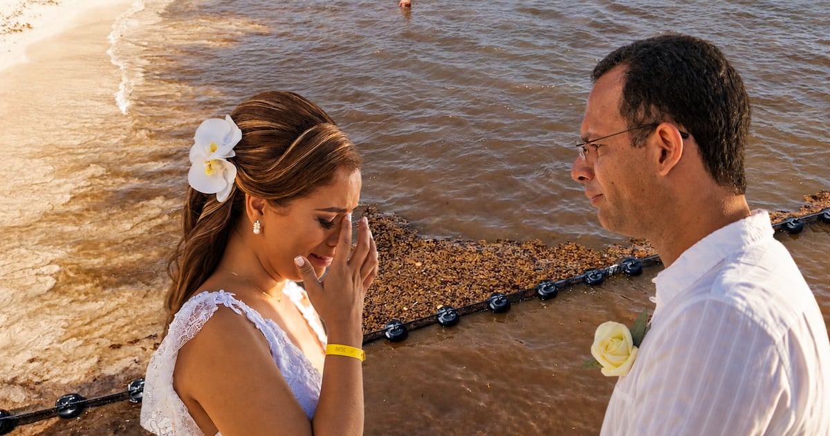 Y vivieron ‘ensargados’ para siempre: Sargazo en el Caribe mexicano ‘echa a perder’ 10 mil bodas