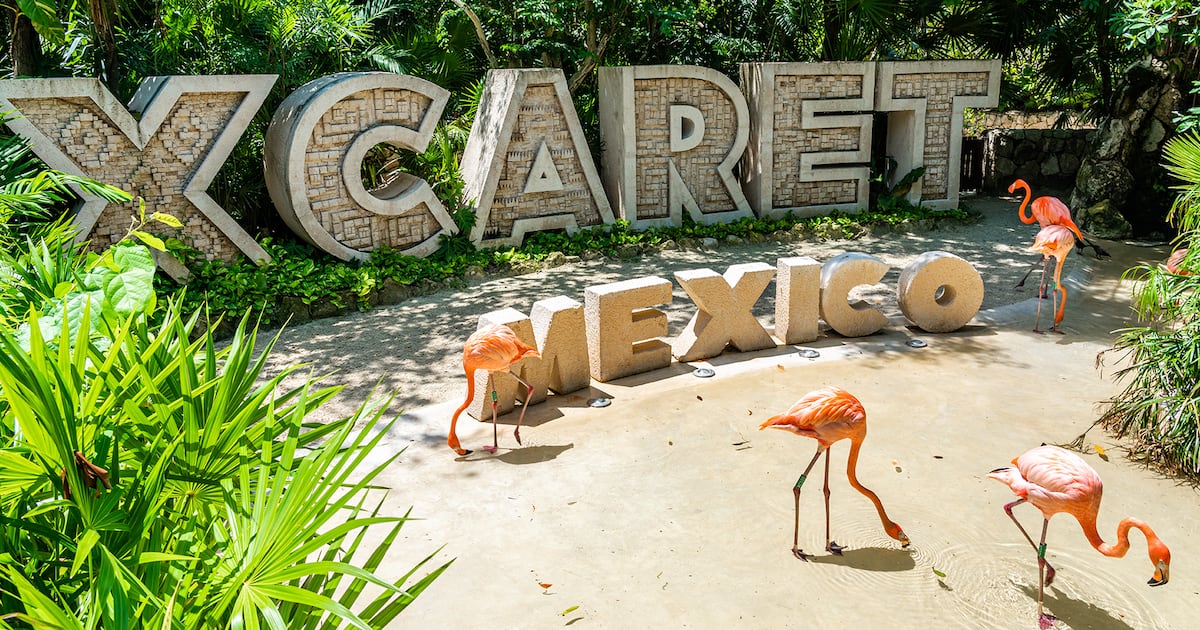 Xcaret advierte por mensajes de texto falsos para cobrar reservaciones: ¿Qué datos fueron extraídos?